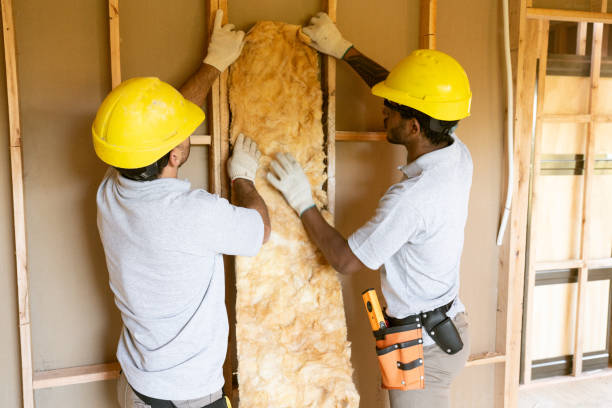 Best Attic Insulation Installation  in Wesley Chapel, FL